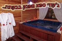 בצל הזית כרכום